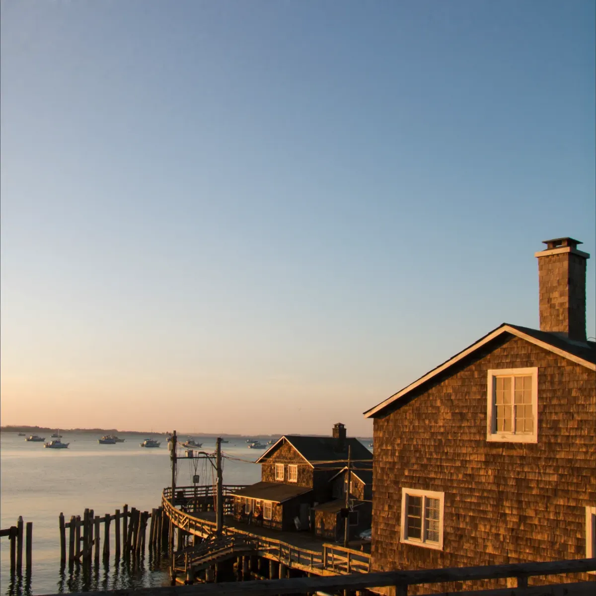 Illustrated coastal scene evoking USA — the home of Roland Foods