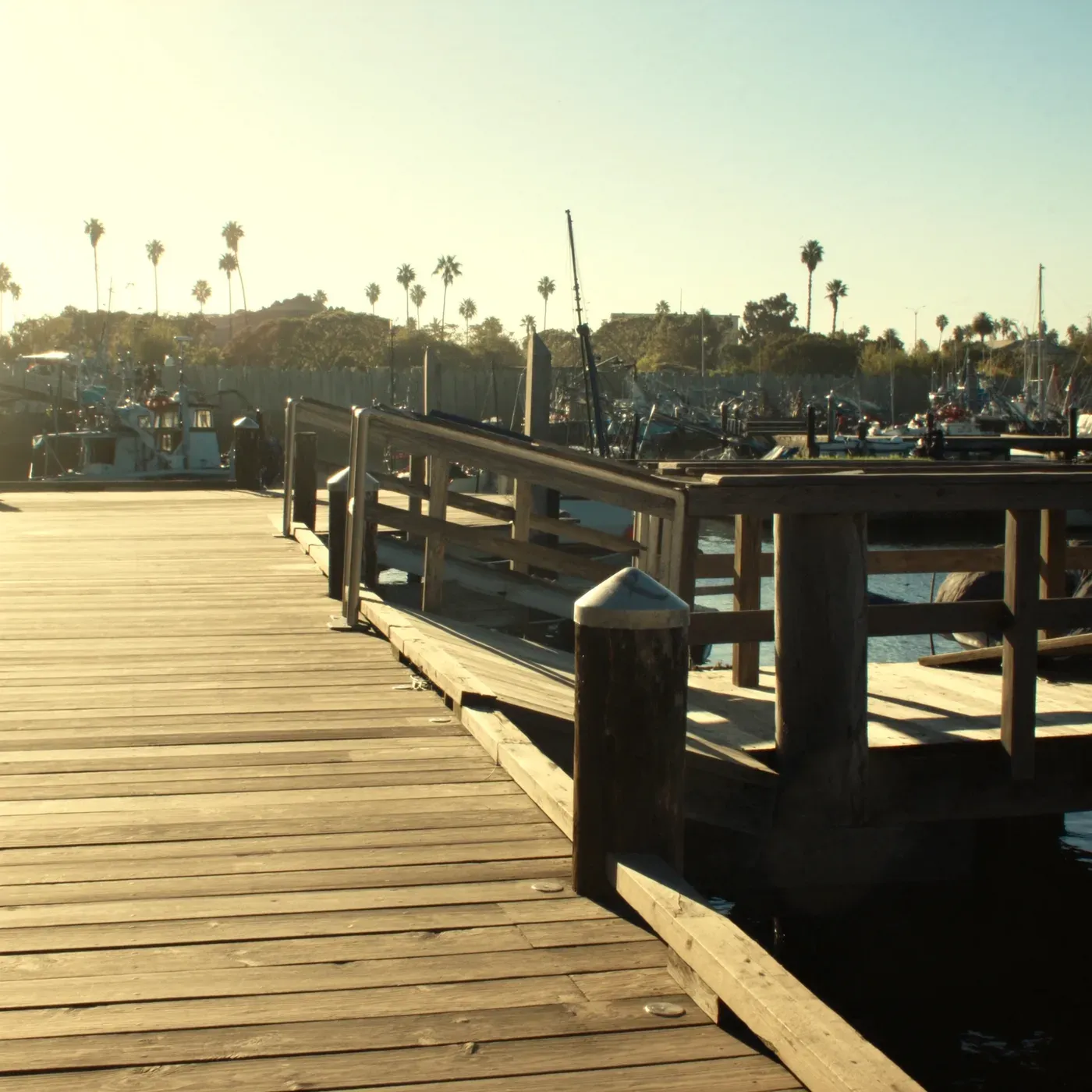Illustrated coastal scene evoking USA — the home of Siesta Co