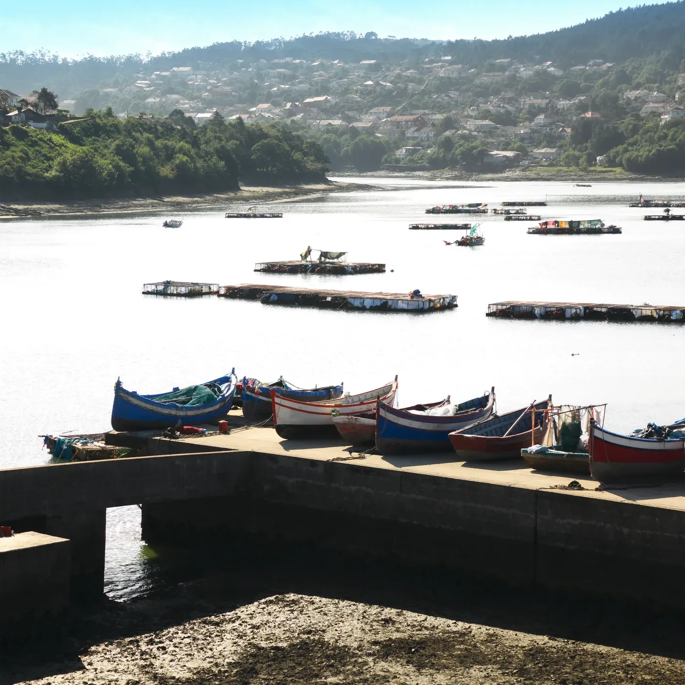 Illustrated coastal scene evoking Spain — the home of Conservas de Cambados
