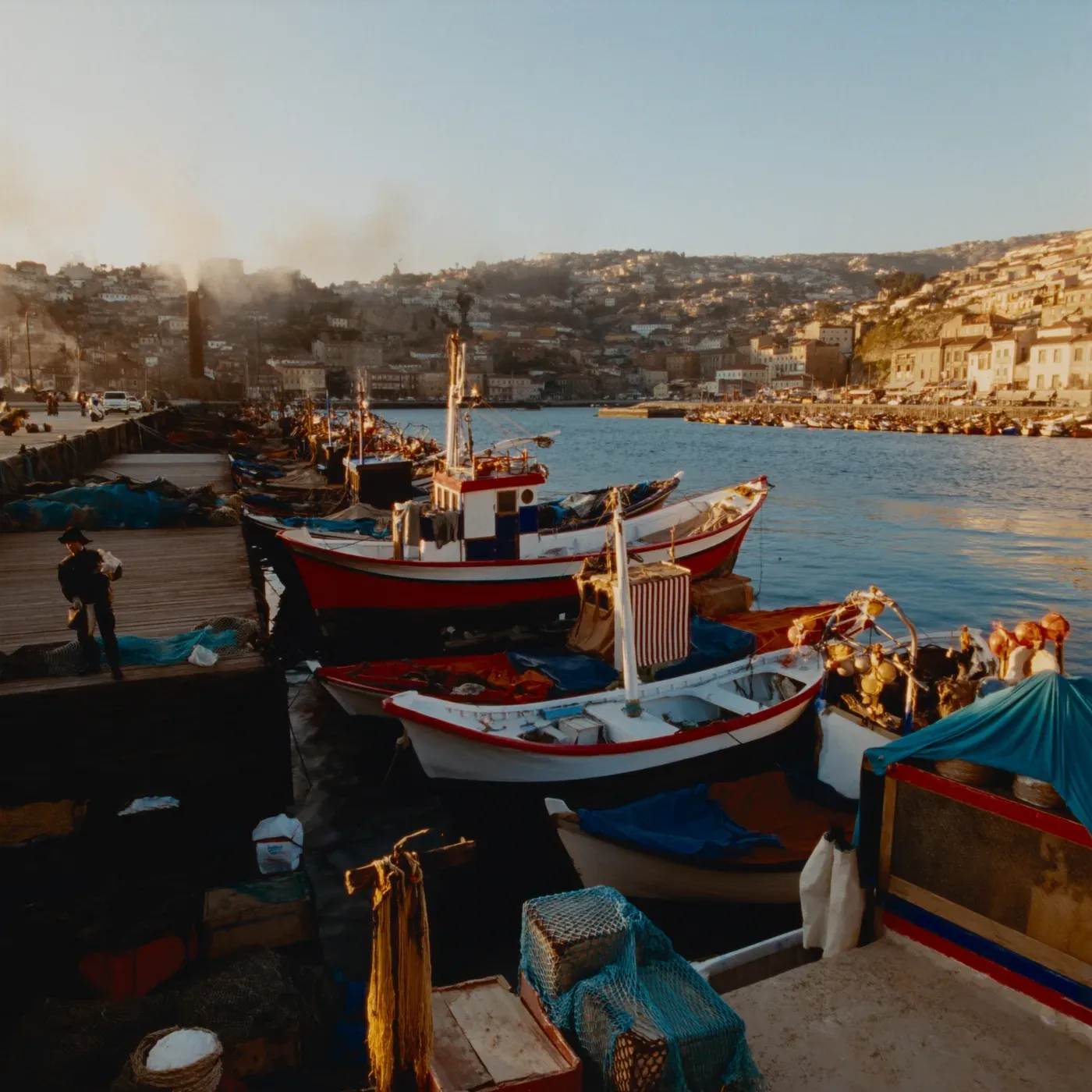 Illustrated coastal scene evoking Portugal — the home of Iconic Sardine
