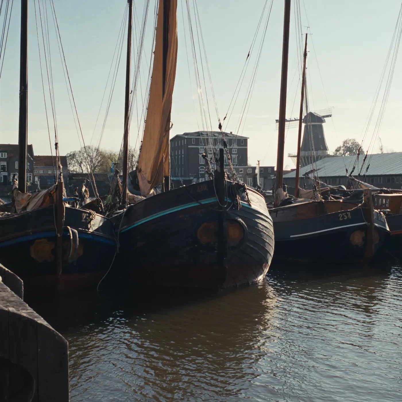 Illustrated coastal scene evoking Netherlands — the home of Sea Tales